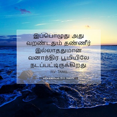 Picture 07 - எசேக்கியேல் 19:13 TAMIRV - இப்பொழுது அது - Bible Verse Picture