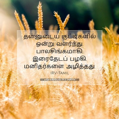 Picture 07 - எசேக்கியேல் 19:3 TAMIRV - தன்னுடைய - Bible Verse Picture
