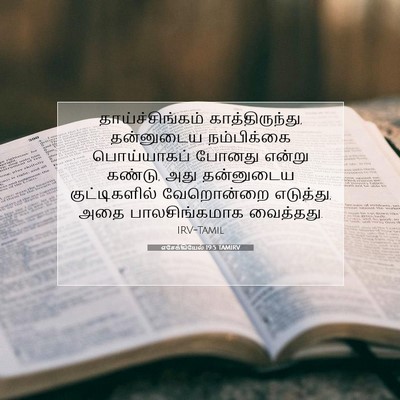 Picture 07 - எசேக்கியேல் 19:5 TAMIRV - தாய்ச்சிங்கம் - Bible Verse Picture