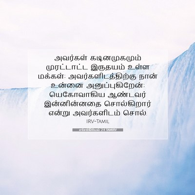 Picture 07 - எசேக்கியேல் 2:4 TAMIRV - அவர்கள் - Bible Verse Picture
