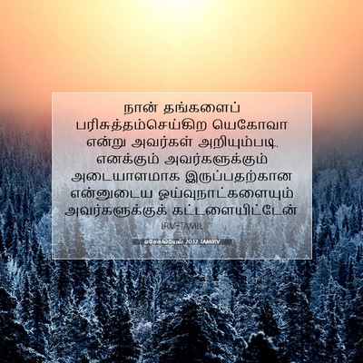 Picture 07 - எசேக்கியேல் 20:12 TAMIRV - நான் தங்களைப் - Bible Verse Picture