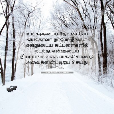 Picture 07 - எசேக்கியேல் 20:19 TAMIRV - உங்களுடைய - Bible Verse Picture
