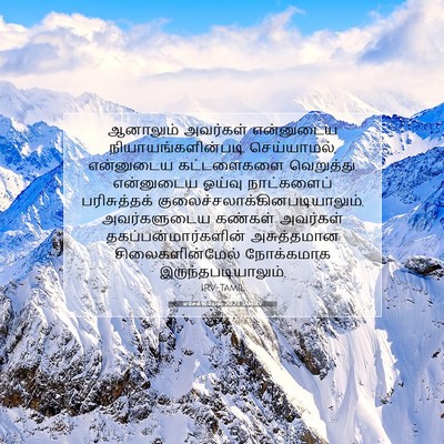 Picture 07 - எசேக்கியேல் 20:23 TAMIRV - ஆனாலும் அவர்கள் - Bible Verse Picture