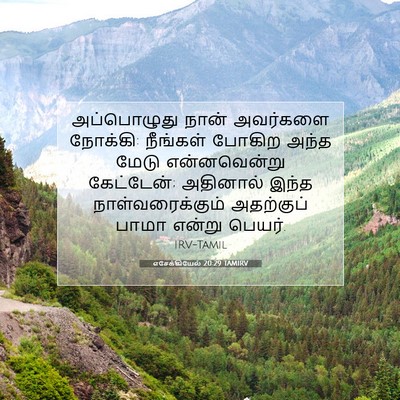 Picture 07 - எசேக்கியேல் 20:29 TAMIRV - அப்பொழுது நான் - Bible Verse Picture