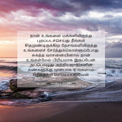 Picture 07 - எசேக்கியேல் 20:41 TAMIRV - நான் உங்களை - Bible Verse Picture