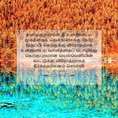 Picture 07 - எசேக்கியேல் 20:46 TAMIRV - மனிதகுமாரனே, நீ - Bible Verse Picture