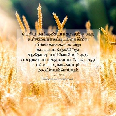 Picture 07 - எசேக்கியேல் 21:10 TAMIRV - பெரிய - Bible Verse Picture