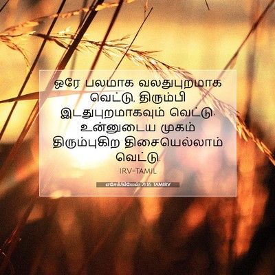 Picture 07 - எசேக்கியேல் 21:16 TAMIRV - ஒரே பலமாக - Bible Verse Picture