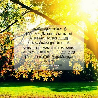 Picture 07 - எசேக்கியேல் 21:9 TAMIRV - மனிதகுமாரனே, நீ - Bible Verse Picture