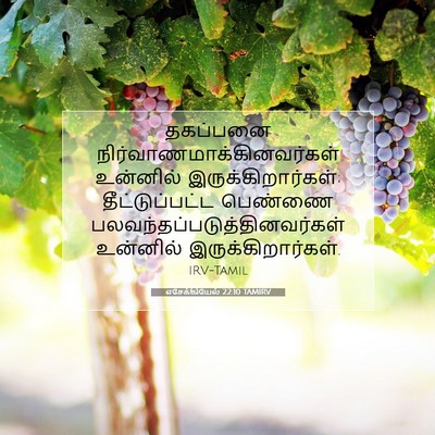 Picture 07 - எசேக்கியேல் 22:10 TAMIRV - தகப்பனை - Bible Verse Picture