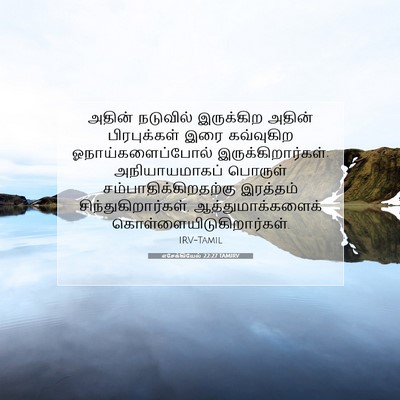 Picture 07 - எசேக்கியேல் 22:27 TAMIRV - அதின் நடுவில் - Bible Verse Picture