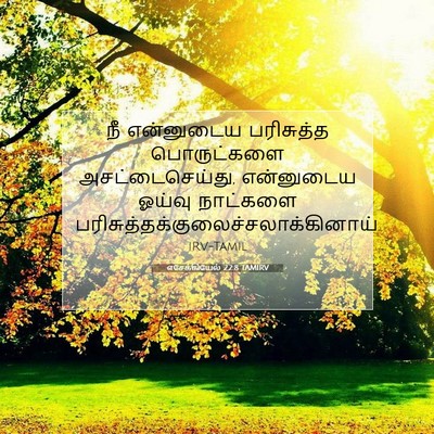Picture 07 - எசேக்கியேல் 22:8 TAMIRV - நீ என்னுடைய - Bible Verse Picture