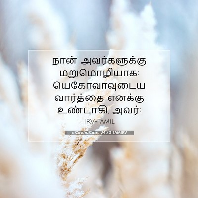 Picture 07 - எசேக்கியேல் 24:20 TAMIRV - நான் அவர்களுக்கு - Bible Verse Picture