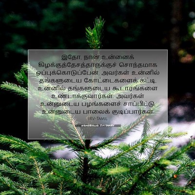 Picture 07 - எசேக்கியேல் 25:4 TAMIRV - இதோ, நான் உன்னைக் - Bible Verse Picture