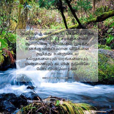 Picture 07 - எசேக்கியேல் 26:12 TAMIRV - அவர்கள் உன்னுடைய - Bible Verse Picture