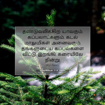 Picture 07 - எசேக்கியேல் 27:29 TAMIRV - தண்டுவலிக்கிற - Bible Verse Picture