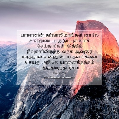 Picture 07 - எசேக்கியேல் 27:6 TAMIRV - பாசானின் - Bible Verse Picture