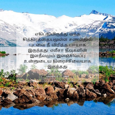 Picture 07 - எசேக்கியேல் 27:7 TAMIRV - எகிப்திலிருந்து - Bible Verse Picture