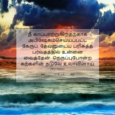 Picture 07 - எசேக்கியேல் 28:14 TAMIRV - நீ - Bible Verse Picture