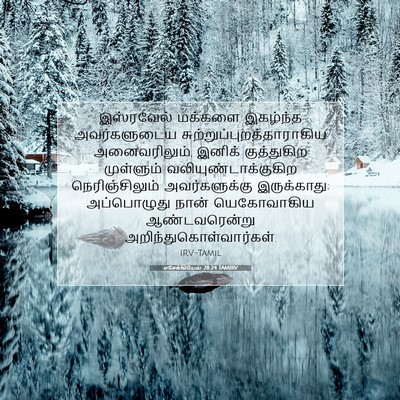 Picture 07 - எசேக்கியேல் 28:24 TAMIRV - இஸ்ரவேல் மக்களை - Bible Verse Picture