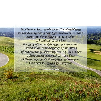 Picture 07 - எசேக்கியேல் 28:25 TAMIRV - யெகோவாகிய ஆண்டவர் - Bible Verse Picture