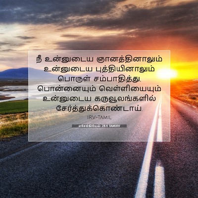 Picture 07 - எசேக்கியேல் 28:4 TAMIRV - நீ உன்னுடைய - Bible Verse Picture
