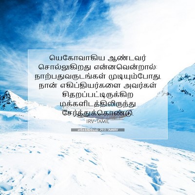 Picture 07 - எசேக்கியேல் 29:13 TAMIRV - யெகோவாகிய ஆண்டவர் - Bible Verse Picture