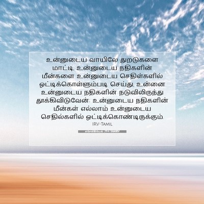 Picture 07 - எசேக்கியேல் 29:4 TAMIRV - உன்னுடைய வாயிலே - Bible Verse Picture