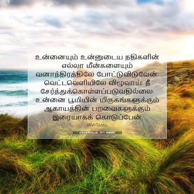 Picture 07 - எசேக்கியேல் 29:5 TAMIRV - உன்னையும் - Bible Verse Picture