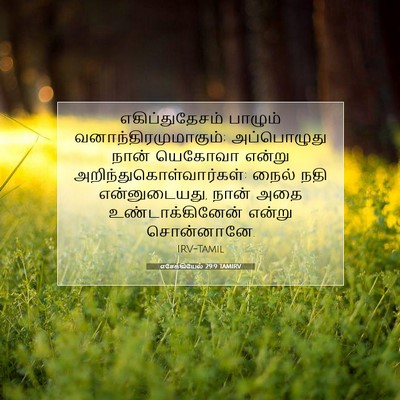 Picture 07 - எசேக்கியேல் 29:9 TAMIRV - எகிப்துதேசம் - Bible Verse Picture
