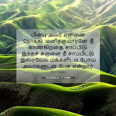 Picture 07 - எசேக்கியேல் 3:1 TAMIRV - பின்பு அவர் என்னை - Bible Verse Picture