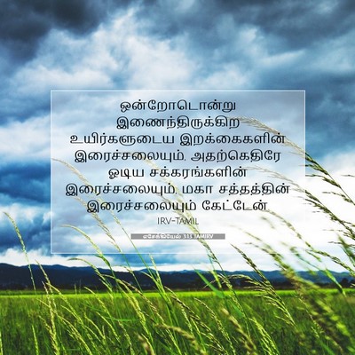 Picture 07 - எசேக்கியேல் 3:13 TAMIRV - ஒன்றோடொன்று - Bible Verse Picture