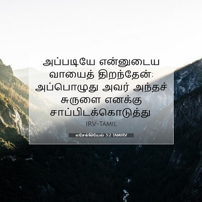 Picture 07 - எசேக்கியேல் 3:2 TAMIRV - அப்படியே என்னுடைய - Bible Verse Picture
