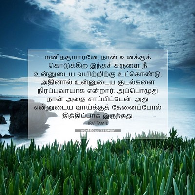 Picture 07 - எசேக்கியேல் 3:3 TAMIRV - மனிதகுமாரனே, நான் - Bible Verse Picture
