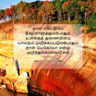 Picture 07 - எசேக்கியேல் 30:8 TAMIRV - நான் எகிப்திலே - Bible Verse Picture