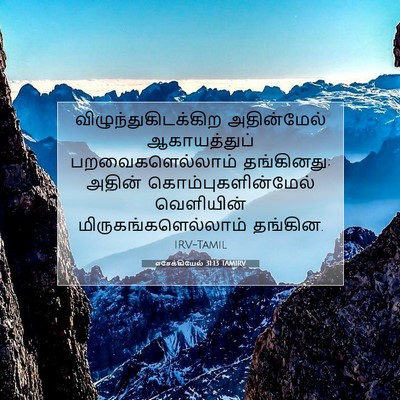 Picture 07 - எசேக்கியேல் 31:13 TAMIRV - விழுந்துகிடக்கிற - Bible Verse Picture
