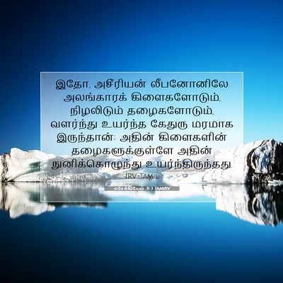 Picture 07 - எசேக்கியேல் 31:3 TAMIRV - இதோ, அசீரியன் - Bible Verse Picture