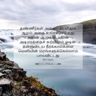 Picture 07 - எசேக்கியேல் 31:4 TAMIRV - தண்ணீர்கள் அதைப் - Bible Verse Picture