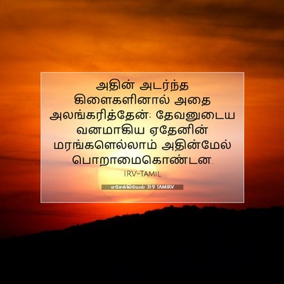 Picture 07 - எசேக்கியேல் 31:9 TAMIRV - அதின் அடர்ந்த - Bible Verse Picture
