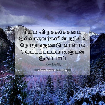 Picture 07 - எசேக்கியேல் 32:28 TAMIRV - நீயும் - Bible Verse Picture