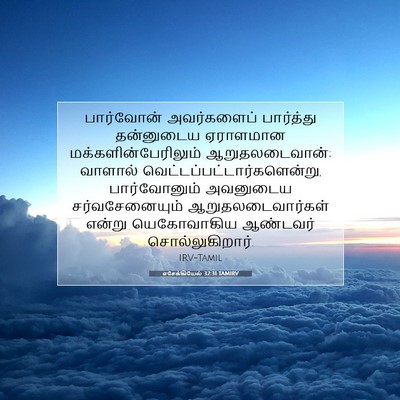 Picture 07 - எசேக்கியேல் 32:31 TAMIRV - பார்வோன் - Bible Verse Picture