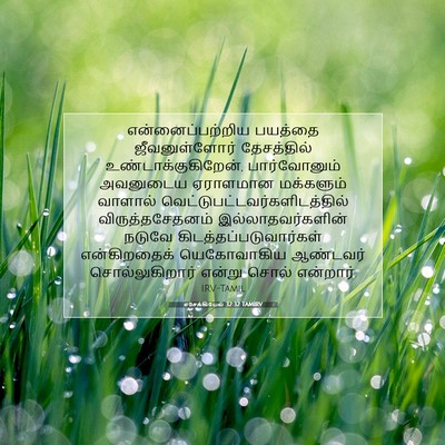 Picture 07 - எசேக்கியேல் 32:32 TAMIRV - என்னைப்பற்றிய - Bible Verse Picture