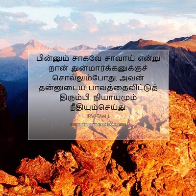 Picture 07 - எசேக்கியேல் 33:14 TAMIRV - பின்னும் சாகவே - Bible Verse Picture