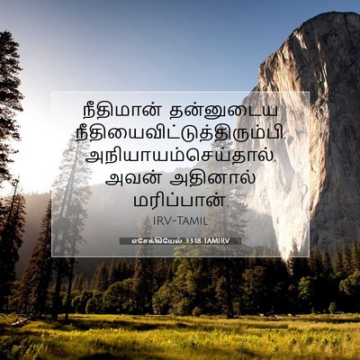 Picture 07 - எசேக்கியேல் 33:18 TAMIRV - நீதிமான் தன்னுடைய - Bible Verse Picture