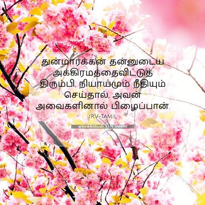 Picture 07 - எசேக்கியேல் 33:19 TAMIRV - துன்மார்க்கன் - Bible Verse Picture