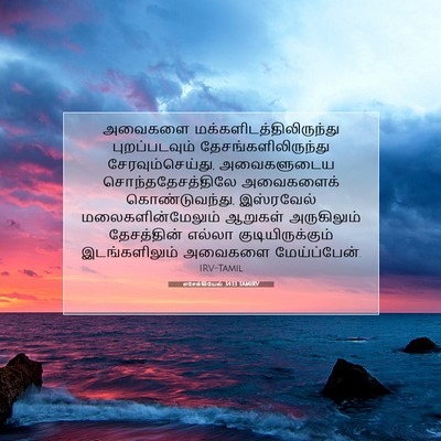 Picture 07 - எசேக்கியேல் 34:13 TAMIRV - அவைகளை - Bible Verse Picture