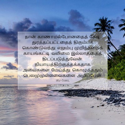 Picture 07 - எசேக்கியேல் 34:16 TAMIRV - நான் - Bible Verse Picture