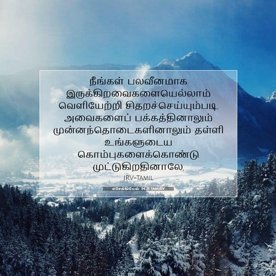 Picture 07 - எசேக்கியேல் 34:21 TAMIRV - நீங்கள் பலவீனமாக - Bible Verse Picture