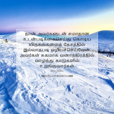 Picture 07 - எசேக்கியேல் 34:25 TAMIRV - நான் அவர்களுடன் - Bible Verse Picture