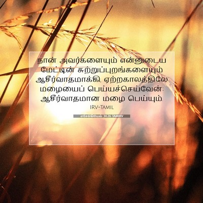 Picture 07 - எசேக்கியேல் 34:26 TAMIRV - நான் அவர்களையும் - Bible Verse Picture